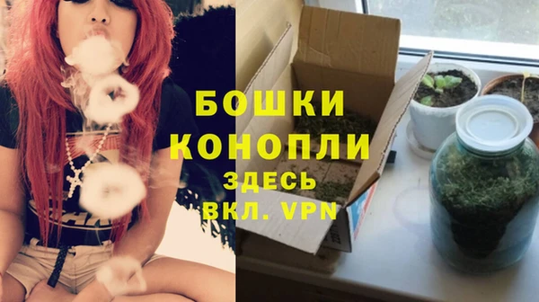 шишки Верея