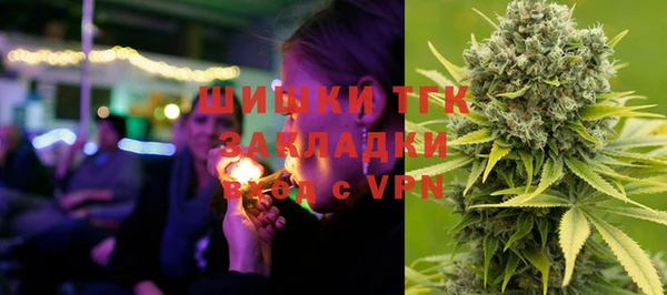 шишки Верея
