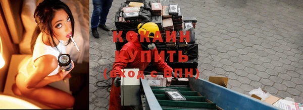 дживик Белая Холуница