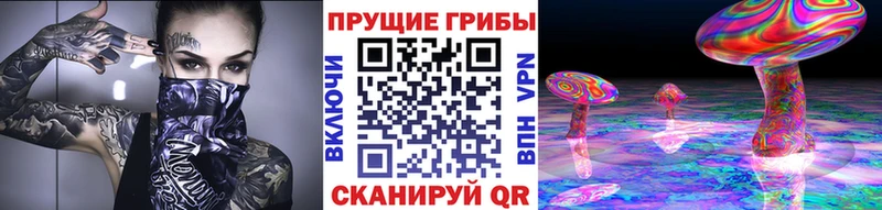 Псилоцибиновые грибы мицелий  Высоковск 
